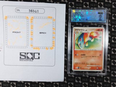 SN36511