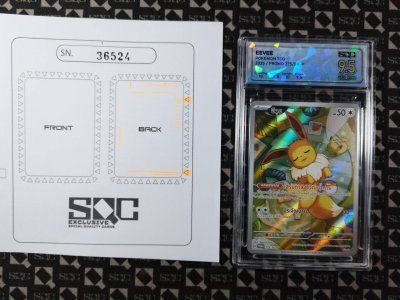 SN36524