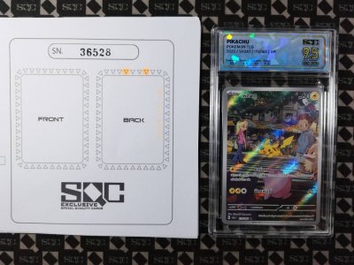 SN36528