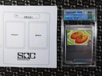SN36531