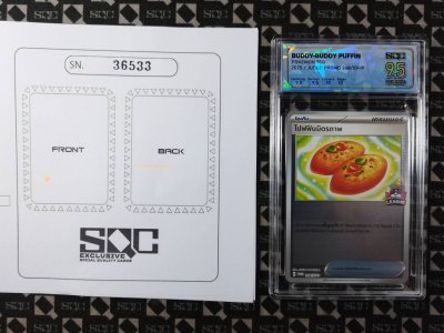 SN36533