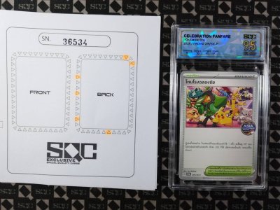 SN36534