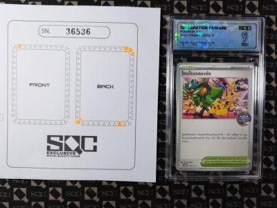 SN36536