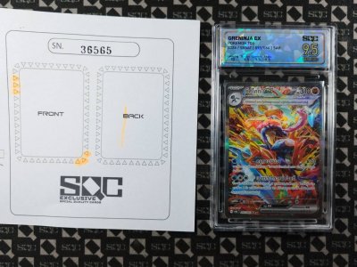 SN36565