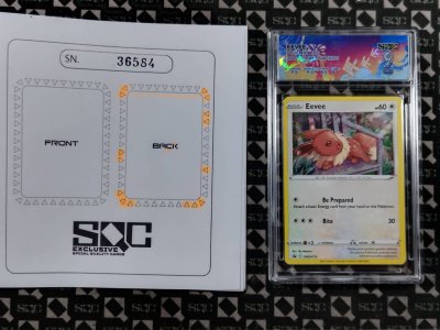 SN36584