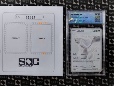 SN36587