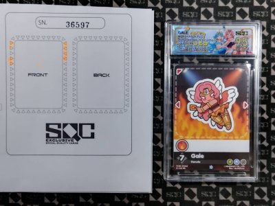 SN36597