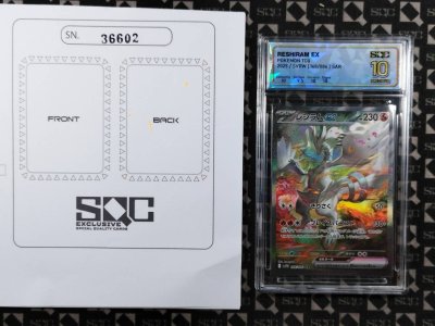SN36602