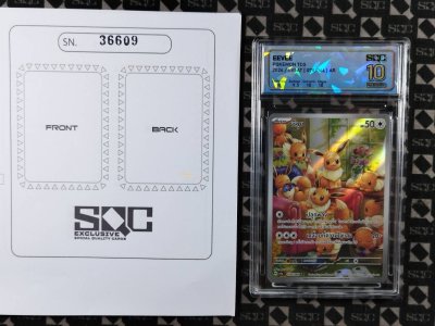 SN36609