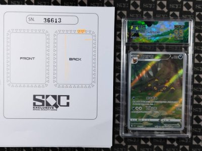 SN36613