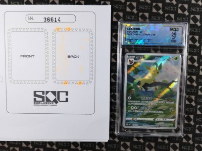 SN36614