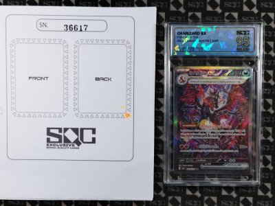 SN36617
