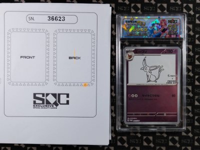 SN36623