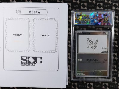 SN36624