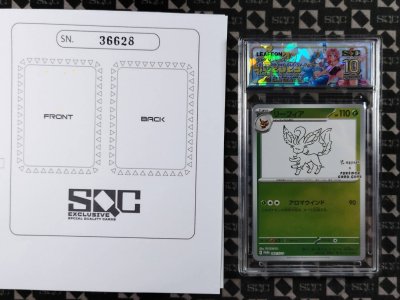 SN36628