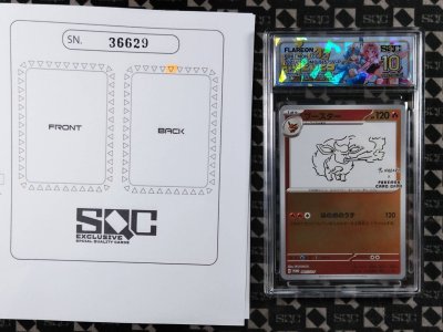 SN36629