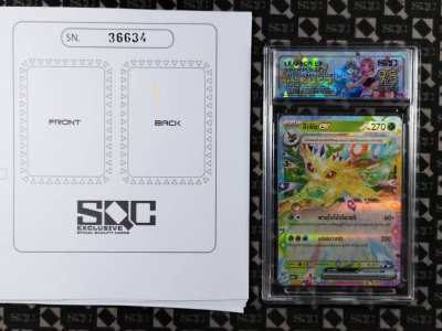 SN36634
