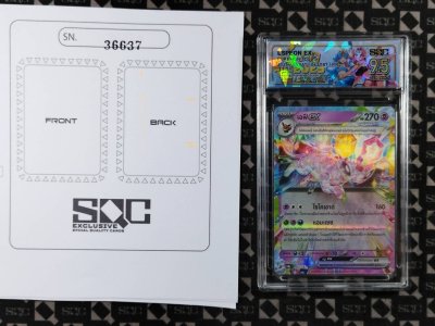 SN36637