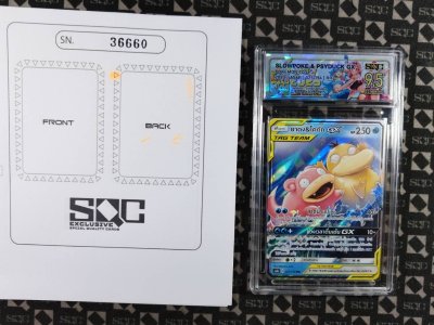 SN36660