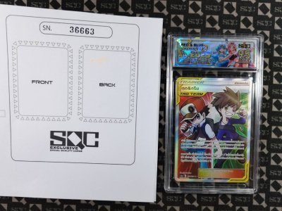 SN36663