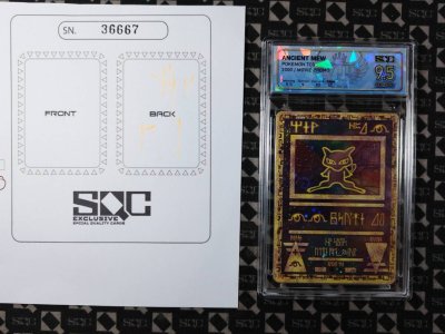 SN36667