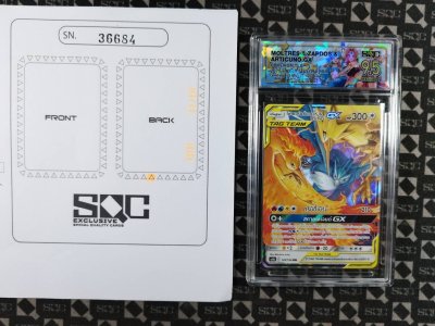 SN36684