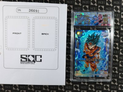 SN36691