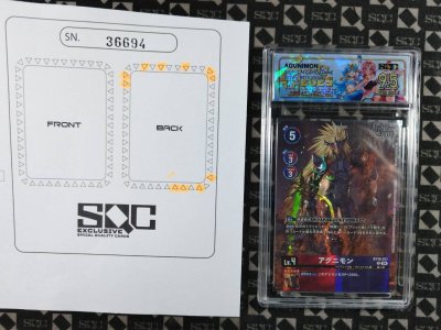 SN36694