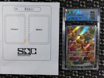 SN34241