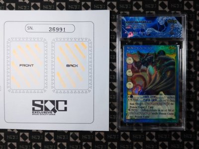 SN36991