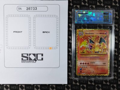 SN36733