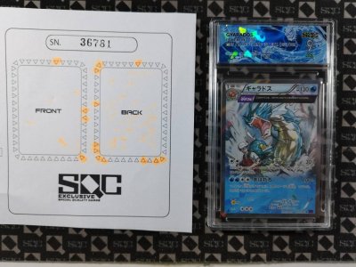 SN36781