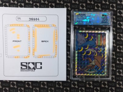 SN36804
