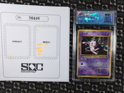 SN36806