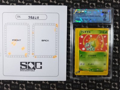 SN36810