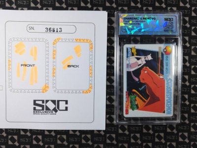 SN36813
