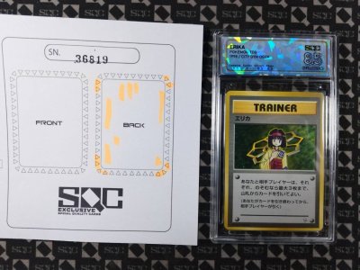 SN36819