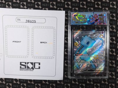 SN36825