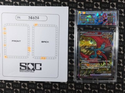 SN36828