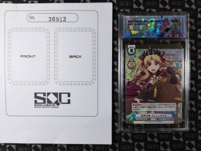 SN36913