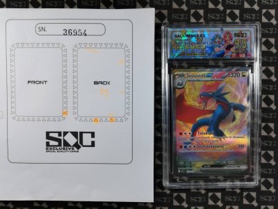 SN36954