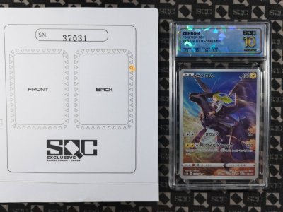 SN37031
