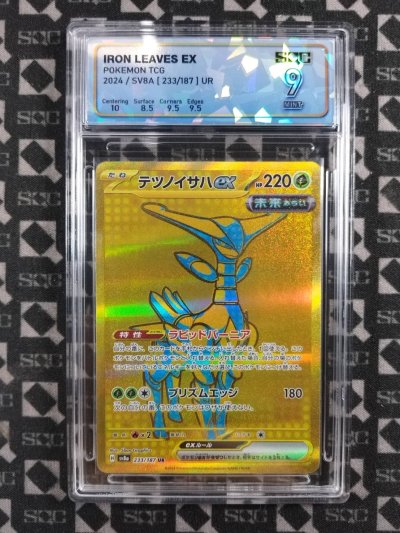 SN37036