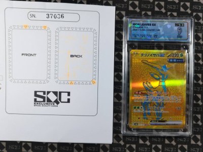 SN37036