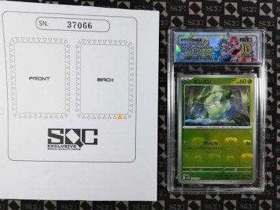 SN37066