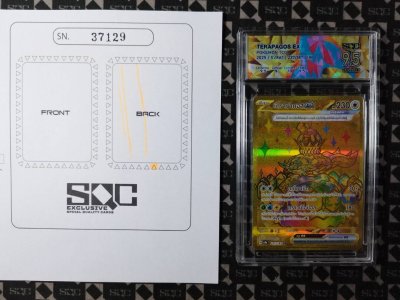 SN37129