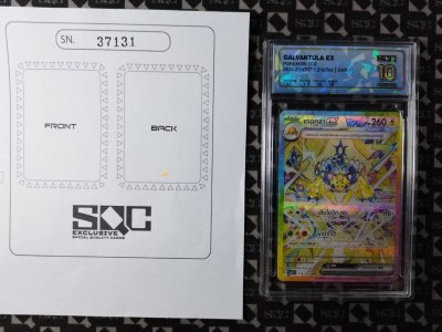 SN37131