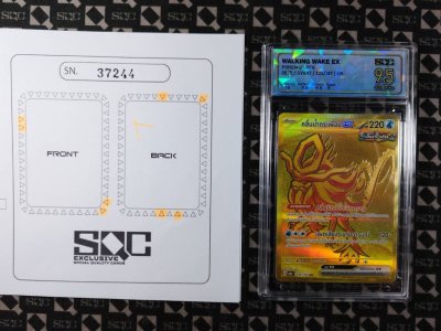 SN37244