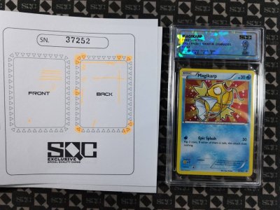 SN37252
