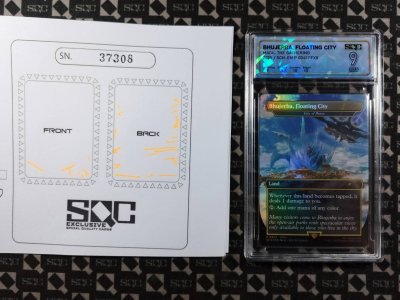 SN37308